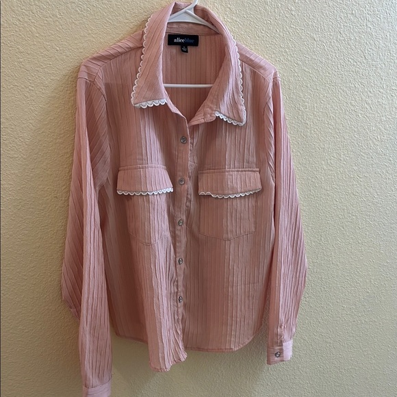 Alice Blue Peach Textured Blouse - Picture 5 of 8